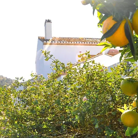 Casa rural Cortijo Caballerias Álora